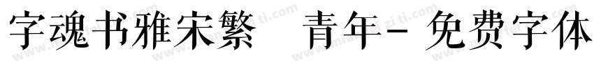 字魂书雅宋繁 青年字体转换